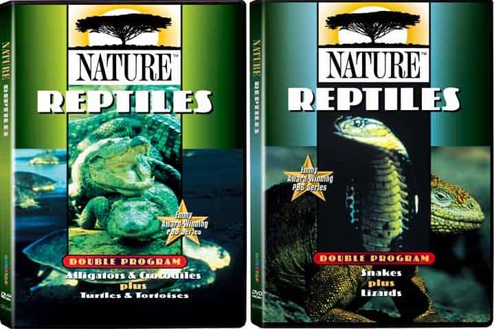 外语原版纪录片《爬行动物 (PBS)/Reptiles (PBS) 》原版无字/外挂字幕 - 纪录片1080P/720P/360P高清标清网盘迅雷下载