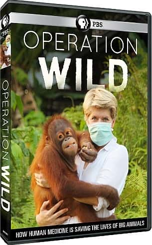 外语原版纪录片《狂野行动/Operation Wild 》原版无字/外挂字幕 - 纪录片1080P/720P/360P高清标清网盘迅雷下载