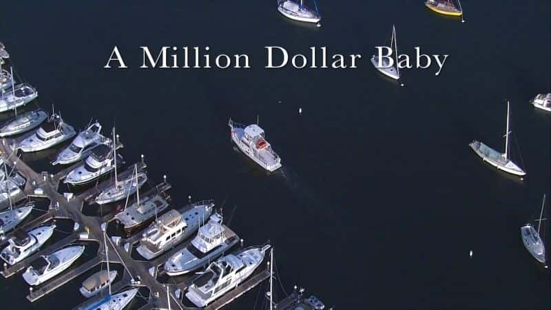 外语原版纪录片《海獭：百万美元宝贝 (BBC 1080p)/Sea Otters: A Million Dollar Baby (BBC 1080p) 》原版无字/外挂字幕 - 纪录片1080P/720P/360P高清标清网盘迅雷下载