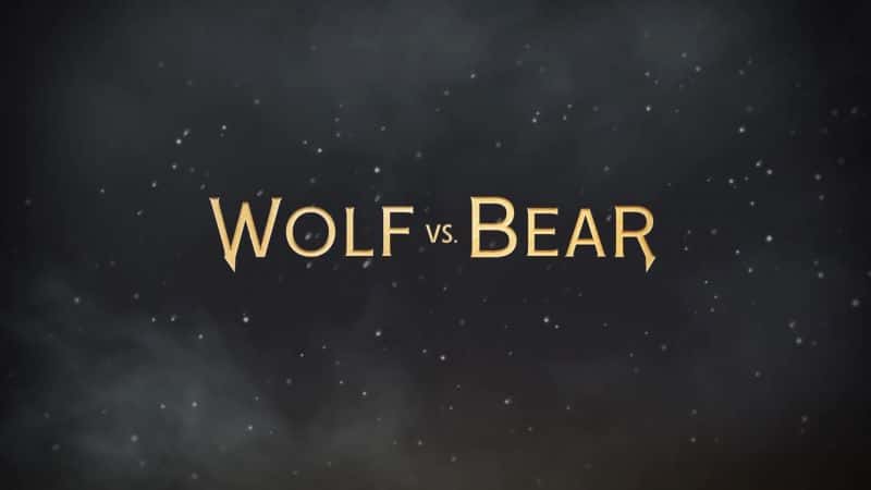 外语原版纪录片《狼与熊/Wolf vs. Bear 》原版无字/外挂字幕 - 纪录片1080P/720P/360P高清标清网盘迅雷下载