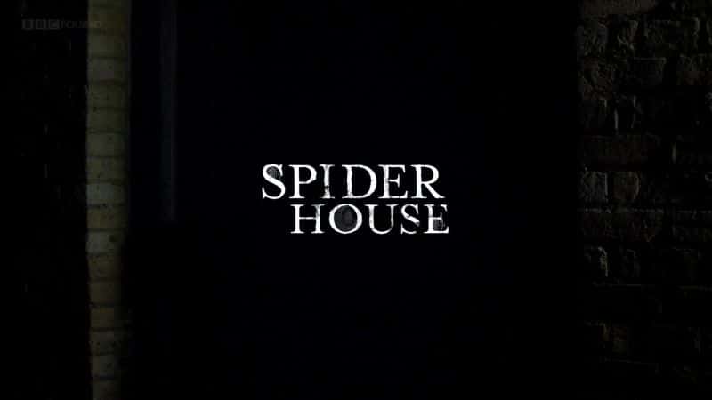 外语原版纪录片《蜘蛛屋 (BBC)/Spider House (BBC) 》原版无字/外挂字幕 - 纪录片1080P/720P/360P高清标清网盘迅雷下载