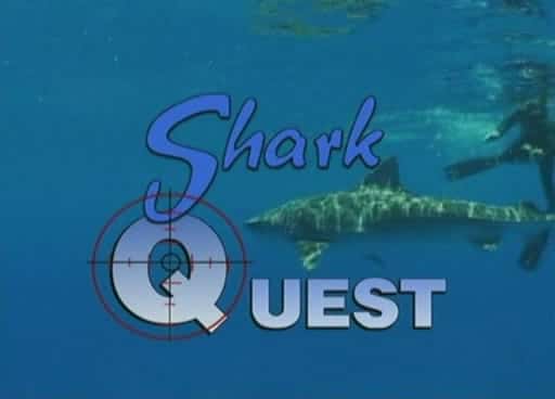 外语原版纪录片《鲨鱼探索/Shark Quest 》原版无字/外挂字幕 - 纪录片1080P/720P/360P高清标清网盘迅雷下载