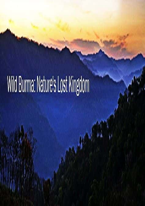 外语原版纪录片《野生缅甸：大自然失落的王国/Wild Burma: Nature's Lost Kingdom 》原版无字/外挂字幕 - 纪录片1080P/720P/360P高清标清网盘迅雷下载