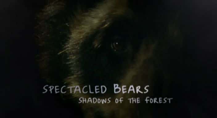 外语原版纪录片《眼镜熊：森林的阴影/Spectacled Bears: Shadows of the Forest 》原版无字/外挂字幕 - 纪录片1080P/720P/360P高清标清网盘迅雷下载