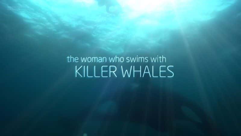 外语原版纪录片《与虎鲸一起游泳的女人 (BBC 1080p)/The Woman who Swims with Killer Whales (BBC 1080p) 》原版无字/外挂字幕 - 纪录片1080P/720P/360P高清标清网盘迅雷下载