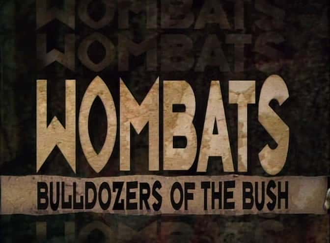 外语原版纪录片《袋熊 - 丛林中的推土机/Wombats - Bulldozers of the Bush 》原版无字/外挂字幕 - 纪录片1080P/720P/360P高清标清网盘迅雷下载