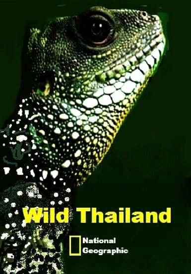外语原版纪录片《狂野的泰国/Wild Thailand 》原版无字/外挂字幕 - 纪录片1080P/720P/360P高清标清网盘迅雷下载