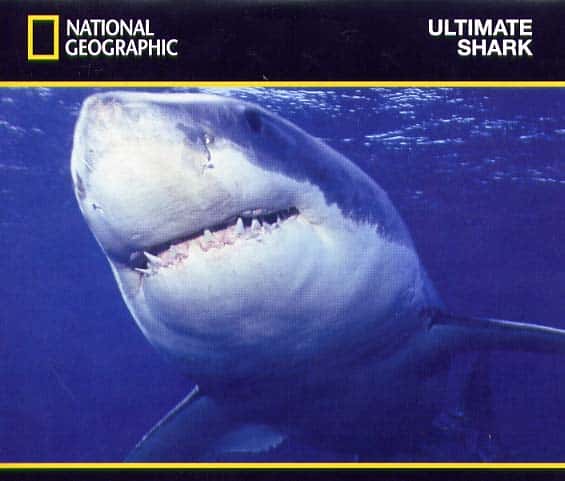 外语原版纪录片《终极鲨鱼/Ultimate Shark 》原版无字/外挂字幕 - 纪录片1080P/720P/360P高清标清网盘迅雷下载