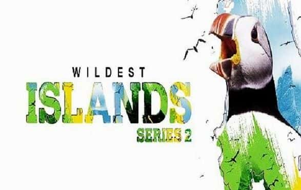 外语原版纪录片《最荒岛系列 2/Wildest Islands Series 2 》原版无字/外挂字幕 - 纪录片1080P/720P/360P高清标清网盘迅雷下载