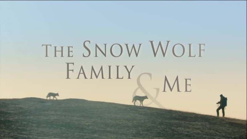 外语原版纪录片《雪狼一家和我/Snow Wolf Family and Me 》原版无字/外挂字幕 - 纪录片1080P/720P/360P高清标清网盘迅雷下载