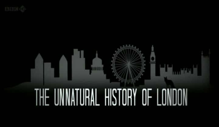 外语原版纪录片《伦敦非自然史/Unnatural History of London 》原版无字/外挂字幕 - 纪录片1080P/720P/360P高清标清网盘迅雷下载