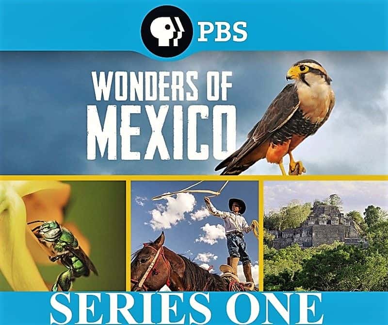 外语原版纪录片《墨西哥奇观：系列 1/Wonders of Mexico: Series 1 》原版无字/外挂字幕 - 纪录片1080P/720P/360P高清标清网盘迅雷下载