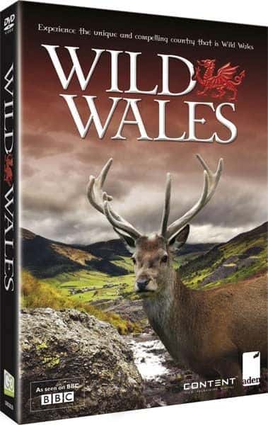 外语原版纪录片《狂野威尔士 (BBC)/Wild Wales (BBC) 》原版无字/外挂字幕 - 纪录片1080P/720P/360P高清标清网盘迅雷下载