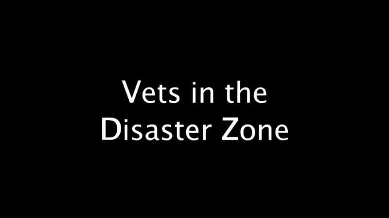 外语原版纪录片《灾区的兽医/Vets in the Disaster Zone 》原版无字/外挂字幕 - 纪录片1080P/720P/360P高清标清网盘迅雷下载