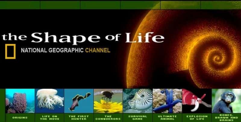 外语原版纪录片《生命的形状:完整的旅程/The Shape of Life: Complete Journey 》原版无字/外挂字幕 - 纪录片1080P/720P/360P高清标清网盘迅雷下载 外语原版纪录片《生命的形状:完整的旅程/The Shape of Life: Complete Journey 》原版无字/外挂字幕 - 纪录片1080P/720P/360P高清标清网盘迅雷下载