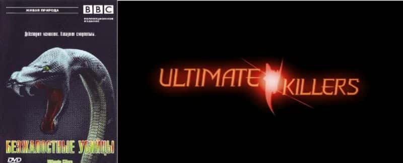 外语原版纪录片《终极杀手/Ultimate Killers 》原版无字/外挂字幕 - 纪录片1080P/720P/360P高清标清网盘迅雷下载