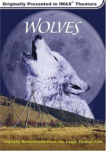 外语原版纪录片《狼队/Wolves 》原版无字/外挂字幕 - 纪录片1080P/720P/360P高清标清网盘迅雷下载