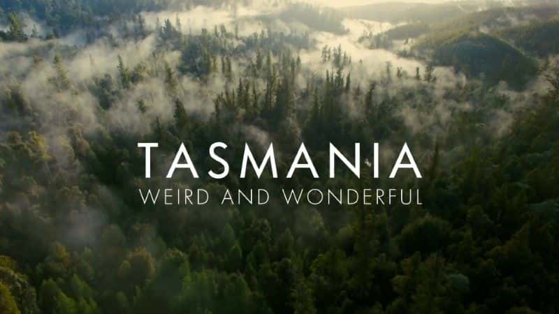 外语原版纪录片《塔斯马尼亚：奇异而美妙/Tasmania: Weird and Wonderful 》原版无字/外挂字幕 - 纪录片1080P/720P/360P高清标清网盘迅雷下载