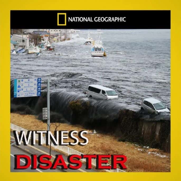 外语原版纪录片《见证灾难/Witness Disaster 》原版无字/外挂字幕 - 纪录片1080P/720P/360P高清标清网盘迅雷下载