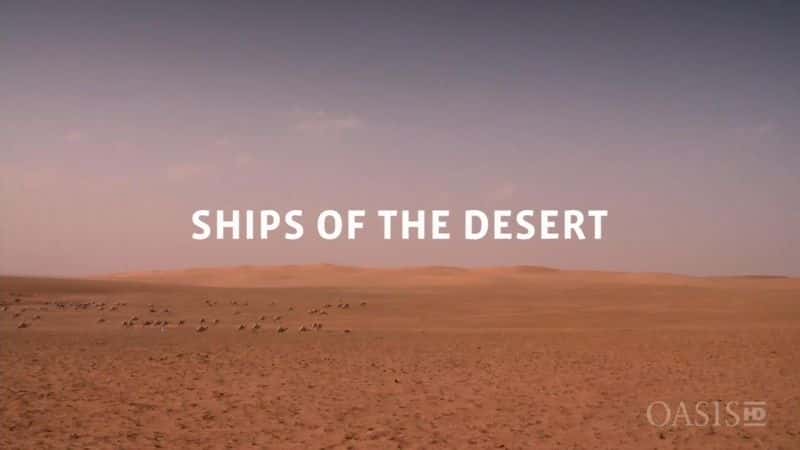 外语原版纪录片《沙漠之舟/Ships of the Desert 》原版无字/外挂字幕 - 纪录片1080P/720P/360P高清标清网盘迅雷下载