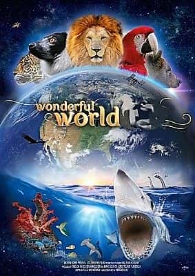 外语原版纪录片《精彩世界（蓝光）/Wonderful World (BluRay) 》原版无字/外挂字幕 - 纪录片1080P/720P/360P高清标清网盘迅雷下载