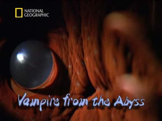 外语原版纪录片《来自深渊的吸血鬼/Vampire from the Abyss 》原版无字/外挂字幕 - 纪录片1080P/720P/360P高清标清网盘迅雷下载