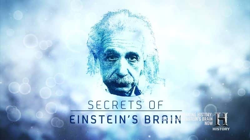 外语原版纪录片《爱因斯坦大脑的秘密/Secrets of Einstein's Brain 》原版无字/外挂字幕 - 纪录片1080P/720P/360P高清标清网盘迅雷下载