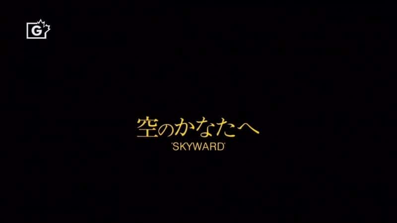 外语原版纪录片《向天/Skyward 》原版无字/外挂字幕 - 纪录片1080P/720P/360P高清标清网盘迅雷下载