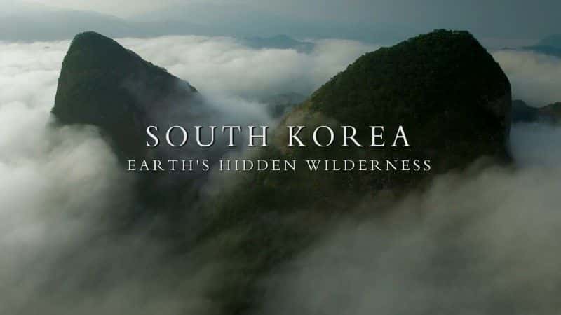 外语原版纪录片《韩国：地球上隐藏的荒野/South Korea: Earth's Hidden Wilderness 》原版无字/外挂字幕 - 纪录片1080P/720P/360P高清标清网盘迅雷下载