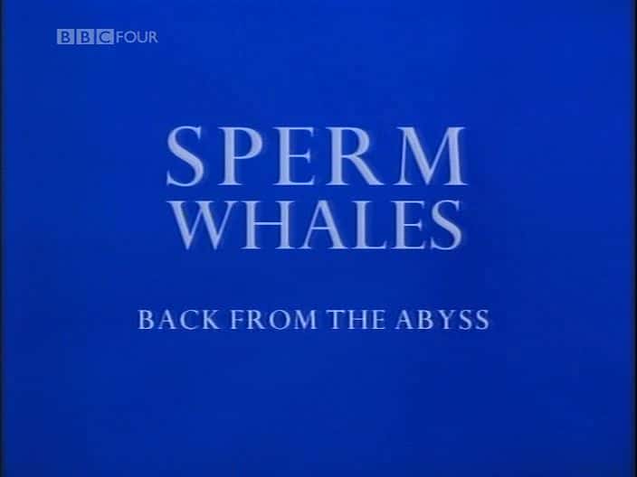 外语原版纪录片《抹香鲸 - 从深渊回来/Sperm Whales - Back from the Abyss 》原版无字/外挂字幕 - 纪录片1080P/720P/360P高清标清网盘迅雷下载