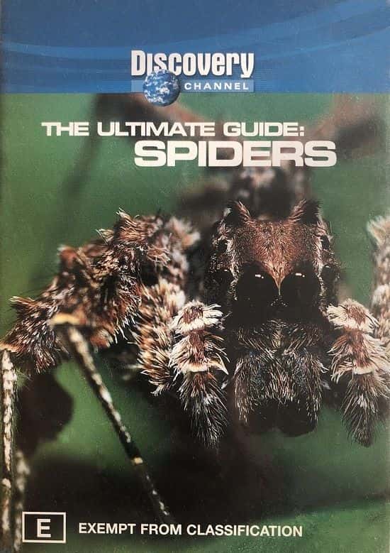 外语原版纪录片《蜘蛛。/Spiders. 》原版无字/外挂字幕 - 纪录片1080P/720P/360P高清标清网盘迅雷下载