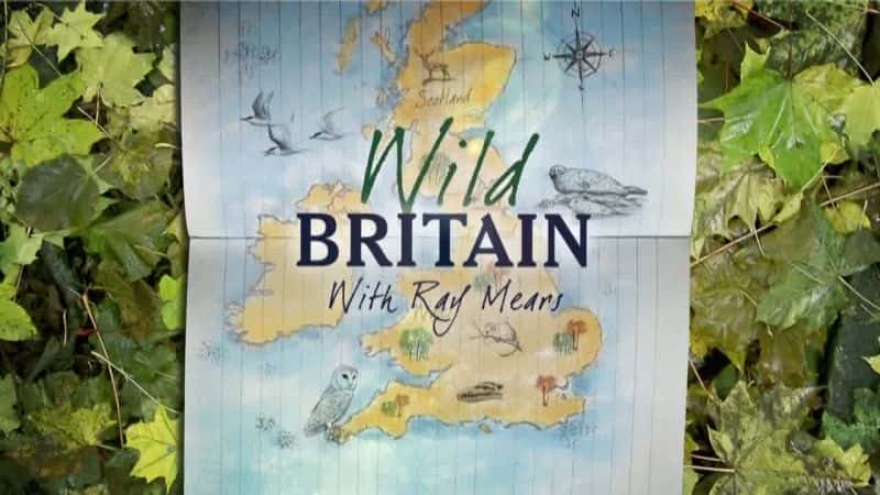 外语原版纪录片《狂野不列颠系列 2/Wild Britain Series 2 》原版无字/外挂字幕 - 纪录片1080P/720P/360P高清标清网盘迅雷下载