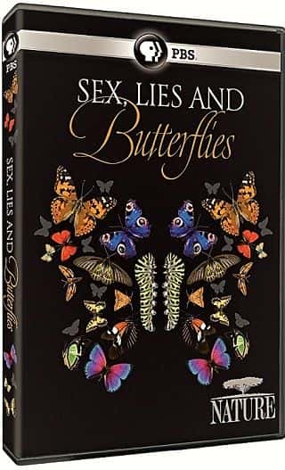 外语原版纪录片《性、谎言和蝴蝶/Sex, Lies and Butterflies 》原版无字/外挂字幕 - 纪录片1080P/720P/360P高清标清网盘迅雷下载