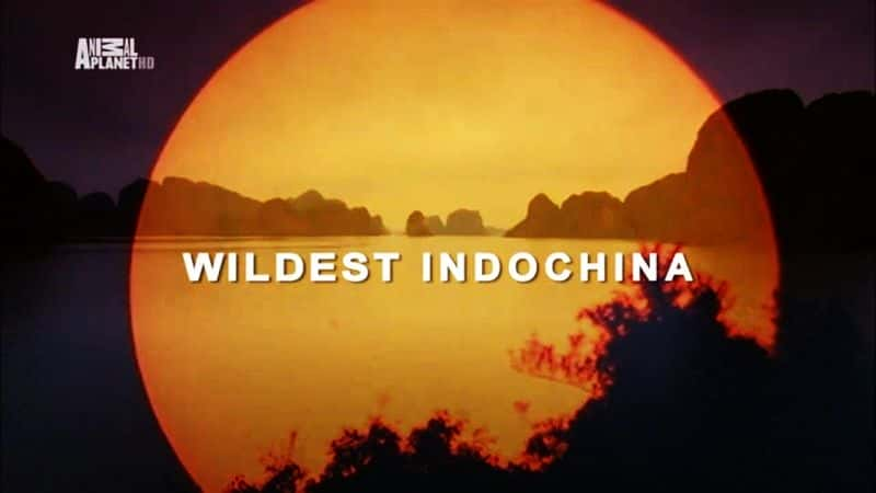 外语原版纪录片《最狂野的印度支那/Wildest Indochina 》原版无字/外挂字幕 - 纪录片1080P/720P/360P高清标清网盘迅雷下载