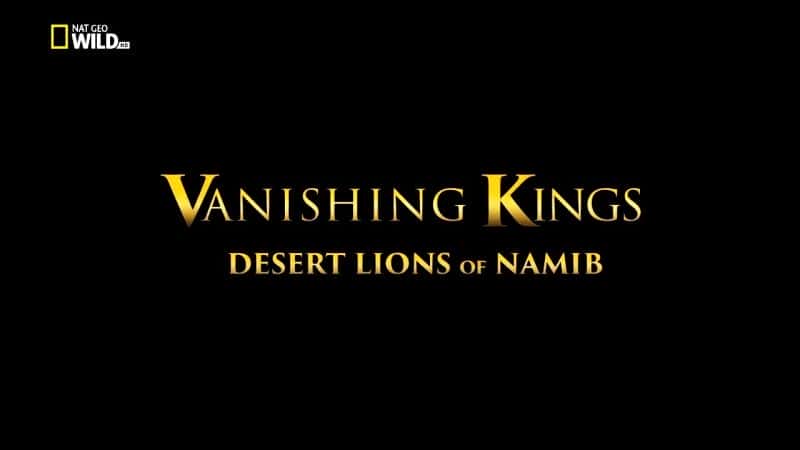 外语原版纪录片《消失的国王 - 纳米布的沙漠雄狮/Vanishing Kings - Desert Lions of Namib 》原版无字/外挂字幕 - 纪录片1080P/720P/360P高清标清网盘迅雷下载