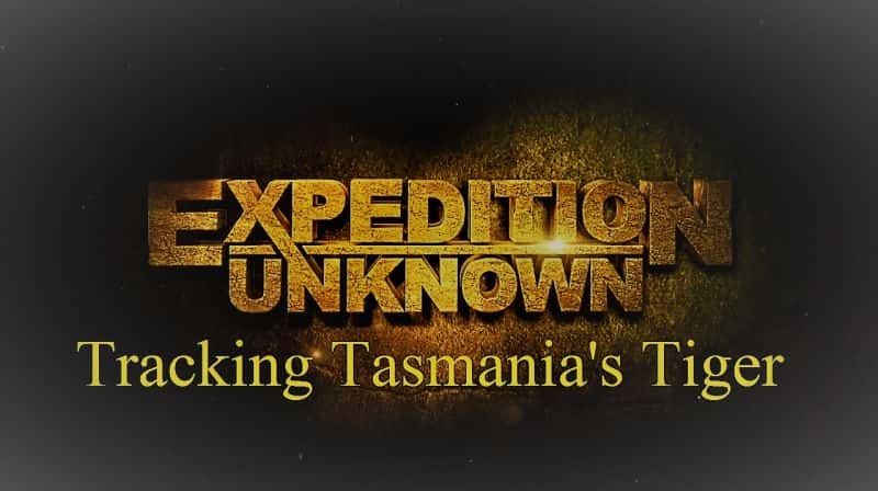 外语原版纪录片《追踪塔斯马尼亚的老虎/Tracking Tasmania's Tiger 》原版无字/外挂字幕 - 纪录片1080P/720P/360P高清标清网盘迅雷下载