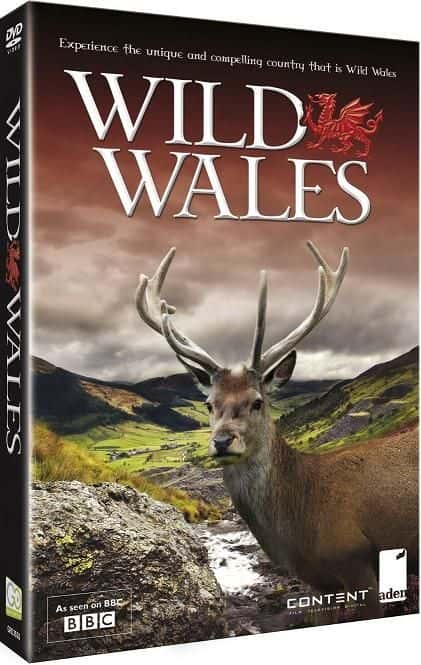 外语原版纪录片《狂野威尔士/Wild Wales 》原版无字/外挂字幕 - 纪录片1080P/720P/360P高清标清网盘迅雷下载