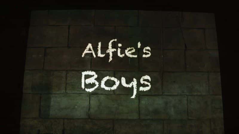 外语原版纪录片《1966 年世界杯：阿尔菲的孩子们/World Cup 1966: Alfie's Boys 》原版无字/外挂字幕 - 纪录片1080P/720P/360P高清标清网盘迅雷下载