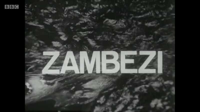 外语原版纪录片《赞比西 1965/Zambezi 1965 》原版无字/外挂字幕 - 纪录片1080P/720P/360P高清标清网盘迅雷下载