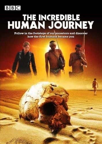 外语原版纪录片《不可思议的人类旅程 (蓝光)/The Incredible Human Journey (BluRay) 》原版无字/外挂字幕 - 纪录片1080P/720P/360P高清标清网盘迅雷下载