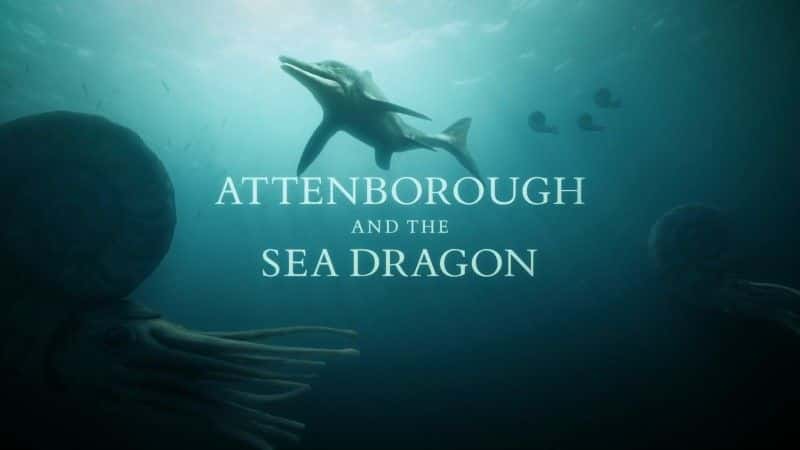 外语原版纪录片《阿滕伯勒与海龙/Attenborough and the Sea Dragon 》原版无字/外挂字幕 - 纪录片1080P/720P/360P高清标清网盘迅雷下载