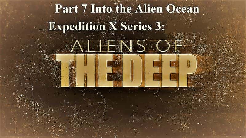 外语原版纪录片《远征 X 系列 3：第 7 部分进入外星海洋/Expedition X Series 3: Part 7 into the Alien Ocean 》原版无字/外挂字幕 - 纪录片1080P/720P/360P高清标清网盘迅雷下载