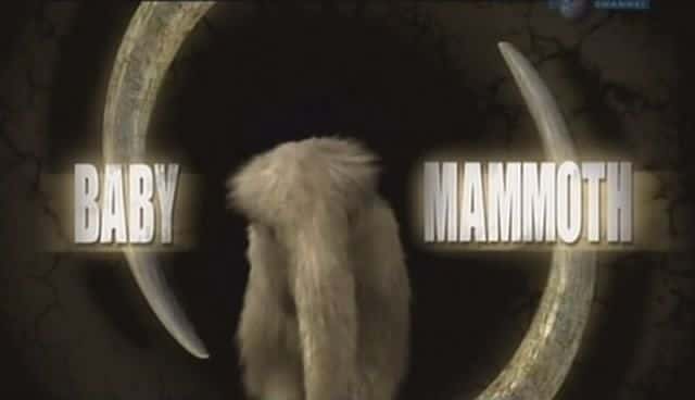 外语原版纪录片《小猛犸象/The Baby Mammoth 》原版无字/外挂字幕 - 纪录片1080P/720P/360P高清标清网盘迅雷下载