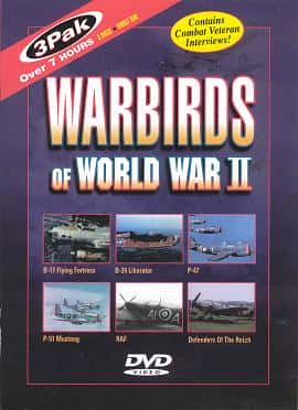 外语原版纪录片《第二次世界大战的战鸟/Warbirds of World War II 》原版无字/外挂字幕 - 纪录片1080P/720P/360P高清标清网盘迅雷下载