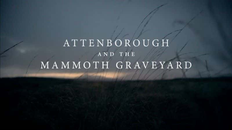 外语原版纪录片《阿滕伯勒和猛犸墓地/Attenborough and the Mammoth Graveyard 》原版无字/外挂字幕 - 纪录片1080P/720P/360P高清标清网盘迅雷下载