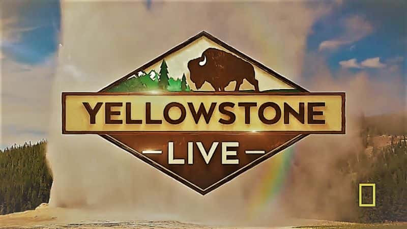 外语原版纪录片《黄石直播：系列 1/Yellowstone Live: Series 1 》原版无字/外挂字幕 - 纪录片1080P/720P/360P高清标清网盘迅雷下载