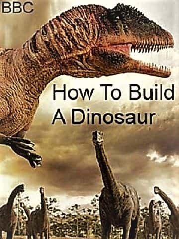 外语原版纪录片《如何建造恐龙 (1080p)/How to Build a Dinosaur (1080p) 》原版无字/外挂字幕 - 纪录片1080P/720P/360P高清标清网盘迅雷下载
