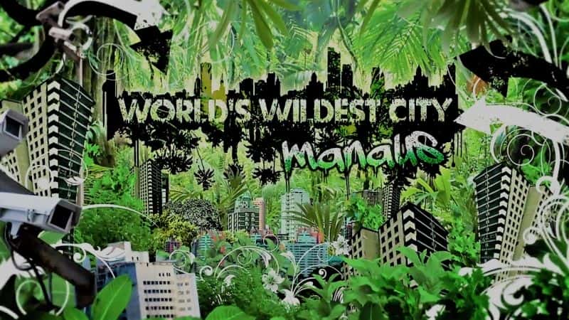 外语原版纪录片《世界上最狂野的城市 - 马瑙斯：系列 1/Worlds Wildest Cities - Manaus: Series 1 》原版无字/外挂字幕 - 纪录片1080P/720P/360P高清标清网盘迅雷下载