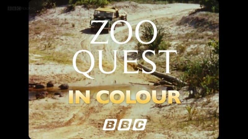 外语原版纪录片《彩色动物园探秘/Zoo Quest in Colour 》原版无字/外挂字幕 - 纪录片1080P/720P/360P高清标清网盘迅雷下载