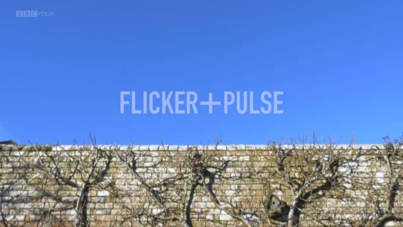 外语原版纪录片《英国花园的一年：闪烁与脉冲 (BBC)/A Year in an English Garden: Flicker and Pulse (BBC) 》原版无字/外挂字幕 - 纪录片1080P/720P/360P高清标清网盘迅雷下载